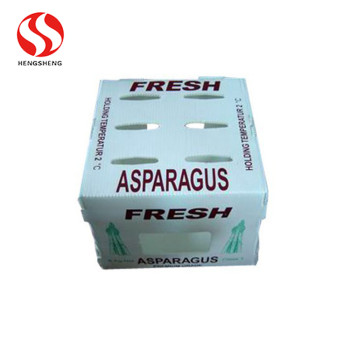 Good Quality PP Plastic Corrugated Packing Vegetables Asparagus Box