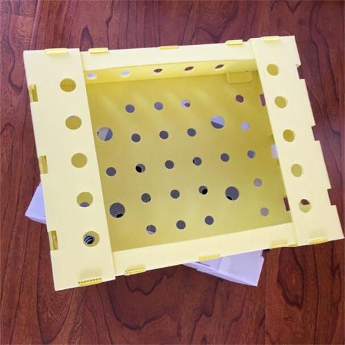 Waterproof foldable fruit and vegetable polypropylene corflute danpla PP corrugated plastic box