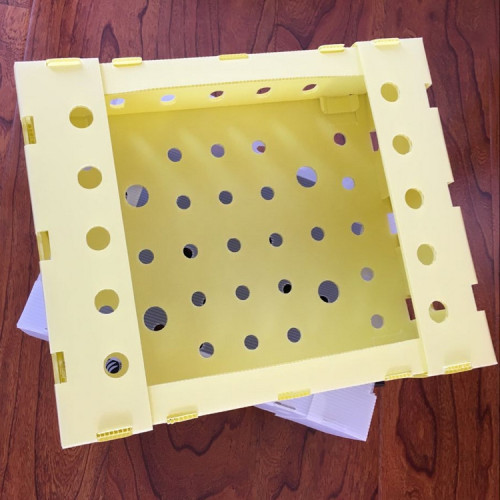 Okra packing box asparagus packing box pp corflute coroplast foldable packaging box