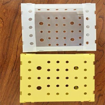 Okra packing box asparagus packing box pp corflute coroplast foldable packaging box