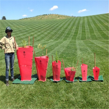 PP Corflute vine protection tree shelters tree guards