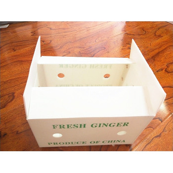 Factory directly sale fresh fruit delivery foldable packing box