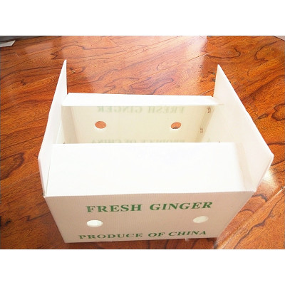 Factory directly sale fresh fruit delivery foldable packing box