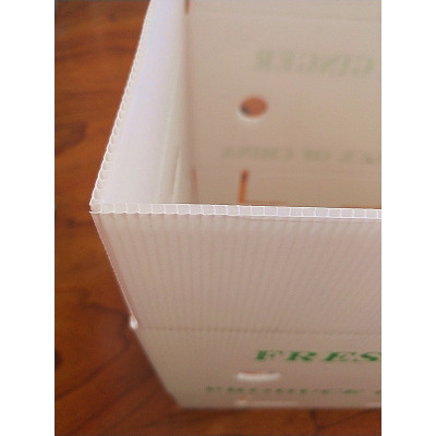 Factory directly sale fresh fruit delivery foldable packing box