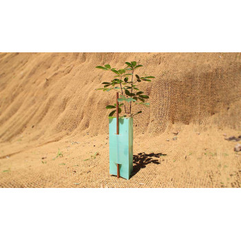 Plant Protection, Revegetation Tree Guard 200mm sides, 450mm high, green, corflute