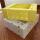 Plastic collapsible recyclable corrugated packing box