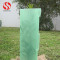 PP corflute tree guards for vine protection