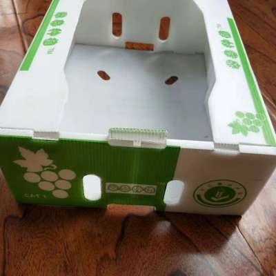 Printed colorful ODM&OEM plastic coroplast box for fruit and vegetable packing