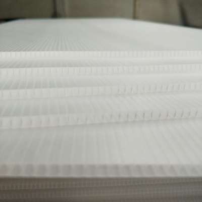 Custom shape & size PP corrugated sheet