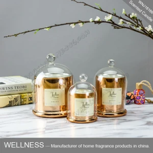 Gift box natural soy wax scented candle with Glass cover