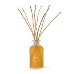 Wholesale luxury natural Reed Sticks Decorative Glass Bottle Reed Diffuser