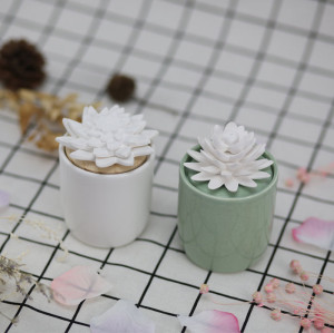 Fragrance ceramic diffuser for decorative custom diffuser