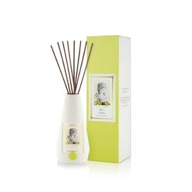 Natural essential oil fragrance diffuser in nice packaging