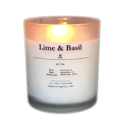 Customized different frosted glass jar scented soy wax candle