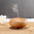 Electric household indoor humidification ultrasonic air aromatherapy essential oil hair dryer diffuser