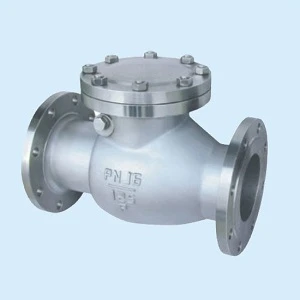 DN150 PN40 Swing Check Valve