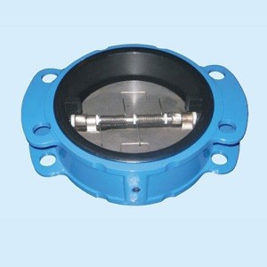 Wafer,swing Rubber-Coated Check Valve CHV801