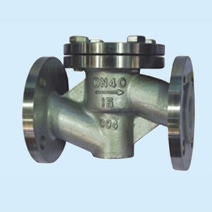 PTFE lined valve corrosion resistant stainless steel check valve