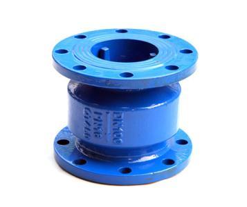 Noise etimination check valve