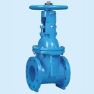Rising Stem Rubber Seated Gate Valveh