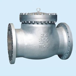 ANSI Stainless Steel Swing Check Valve