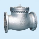 ANSI Stainless Steel Swing Check Valve