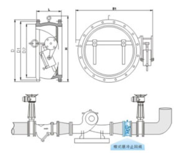 Check valve