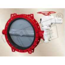 Structural characteristics of butterfly valves