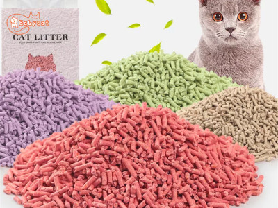 Best selling Flushable Tofu Cat Litter China supplier