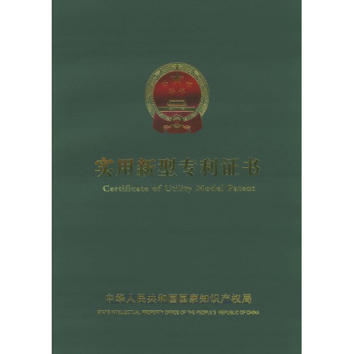 Patent