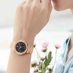 Private Label OEM ODM Factory Stainless Steel Waterproof Wrist Luxury Quartz Watch for Women