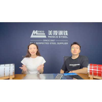 MESCO STEEL Metal Composite Steel Plate (Q&A Version)