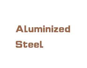>Aluminized Steel