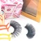 free sample fake eyelashes Factory Price New Styles Private Label Long Length Self False Eyelashes