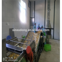 factory supplier China automatic banana plantain chips stainless steel plantain chips machine