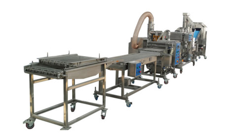 Automatic french fries processing line