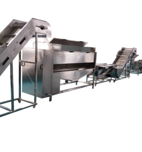 100kg/h frozen french fries production line