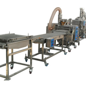China supplier xinxudong full automatic potato chip machine of chips production line