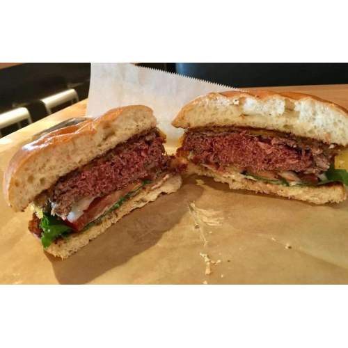 XinXuDong Burger Patty Machine Introductio