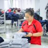 Workwear Fabric Guide: Cotton, Poly-Cotton, CVC and Stretch Blends Compared