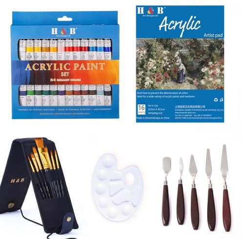 H&B New Design 24 Colors acrylic paint  brush set For Artist acrylic spray paint