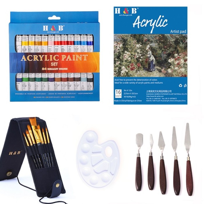 H&B New Design 24 Colors acrylic paint brush set For Artist acrylic spray paint