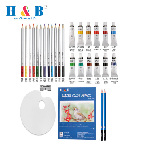 H & B 31 pcs watercolor paint kit