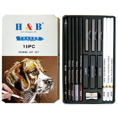 H&B 145pcs Drawing Sketch Pencils Graphite Charcoal Oil Colored Pen Set  Carrying Bag for Art Students School Painting Supplies 