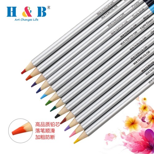 H&B 40pcs major artist set for kid colored pencil artists for wholesale