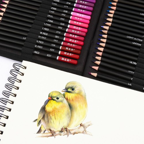 H&B 145pcs best oil based colored pencils kit colored pencil drawings for kid
