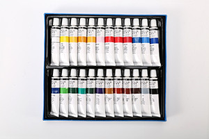 H&B 24pcs color wholesale artist acrylic paint set for kid