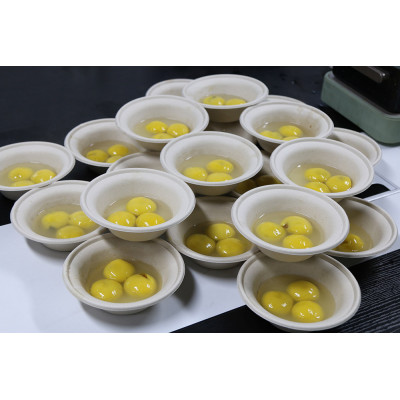 Festival de los Faroles Fiesta feliz