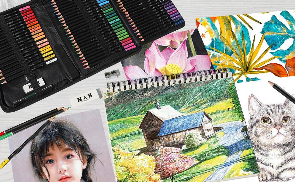 Premium Drawing Pencil Set(96pcs),including 72 Colored Pencils and 24  Sketch Kit,Art Pencil Kit in Zippered Travel Case, for Drawing,Sketching  and Coloring,Ideal for Beginner,Artists and Adults : : Home