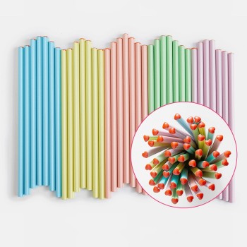 new design custom logo macaron hb environmental protection standard pencil macaron color pencil